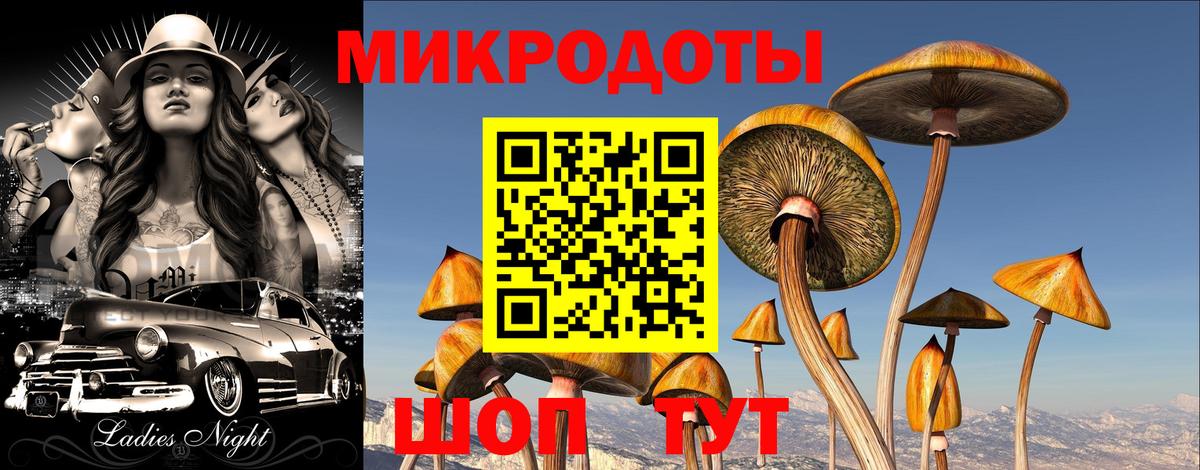 Псилоцибиновые грибы ЛСД  Вход с VPN  Курганинск 