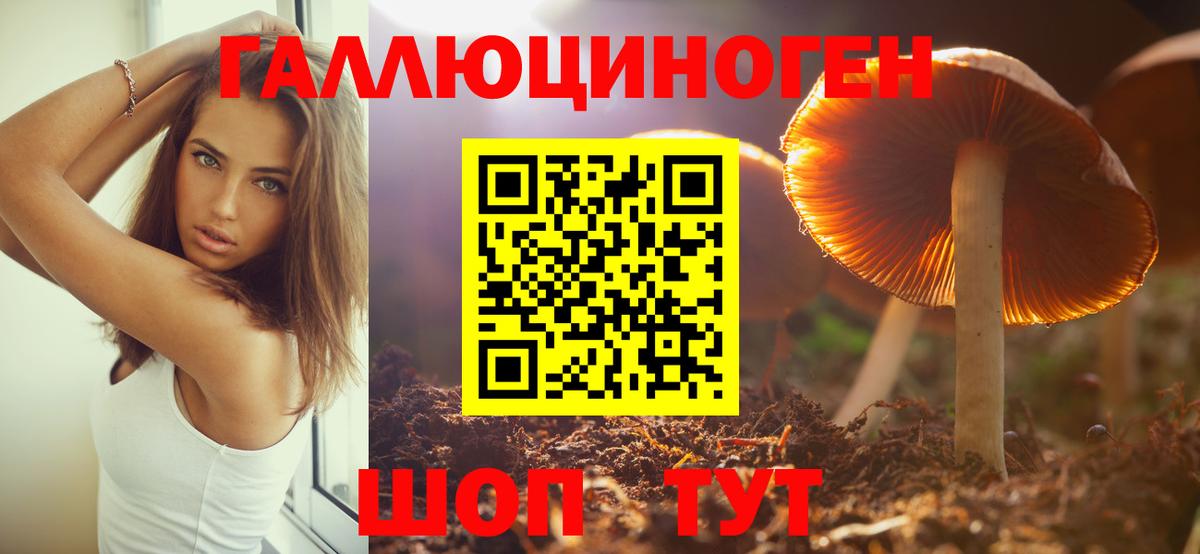 Галлюциногенные грибы мицелий Курганинск